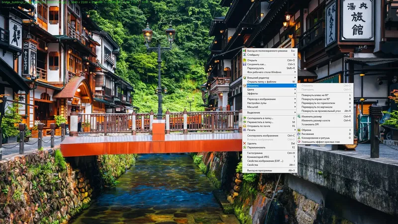 Установка FastStone Image Viewer 7.9 RePack (& Portable) by KpoJIuK [Multi Ru]