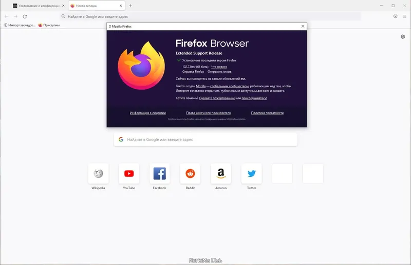 Установка Firefox Browser ESR 102.7.0 Portable by PortableApps [Ru]