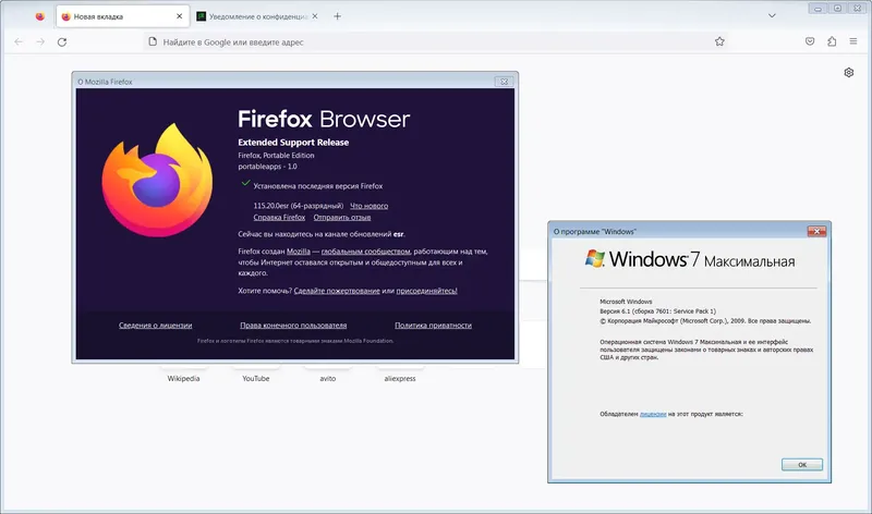 Установка Firefox Browser ESR 115.20.0 Portable by PortableApps [Ru]