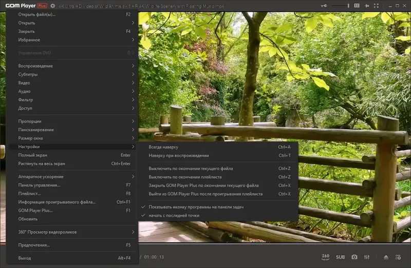 Установка GOM Player Plus 2.3.85.5353 Portable by 7997 [Multi Ru]