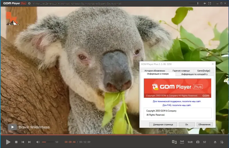 Установка GOM Player Plus 2.3.88.5358 RePack (& Portable) by Dodakaedr [Ru En]