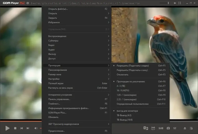 Установка GOM Player Plus 2.3.90.5360 Portable by 7997 [Multi Ru]