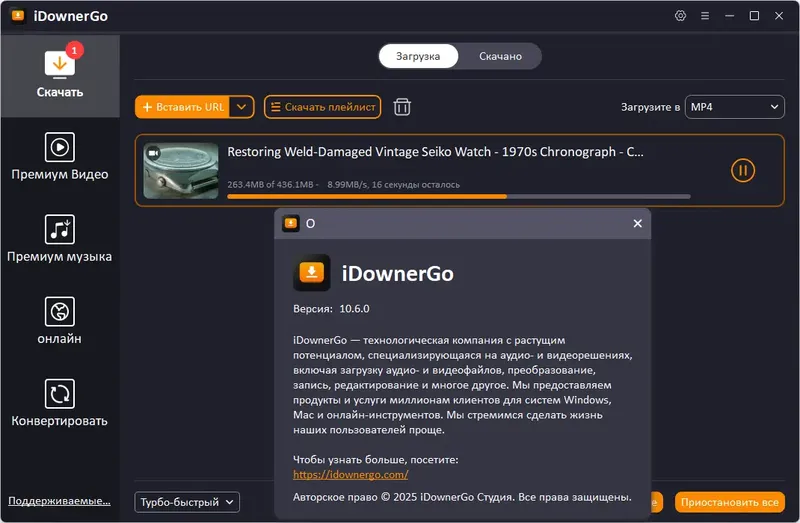 Установка iDownerGo Video Downloader 10.6.0 RePack (& Portable) by elchupacabra [Multi Ru]