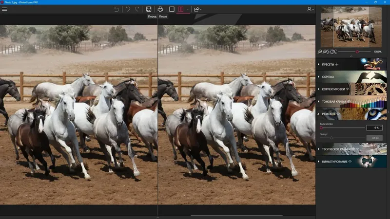 Установка inPixio Photo Focus Pro 4.3.8624 RePack (& Portable) by TryRooM [Ru En]