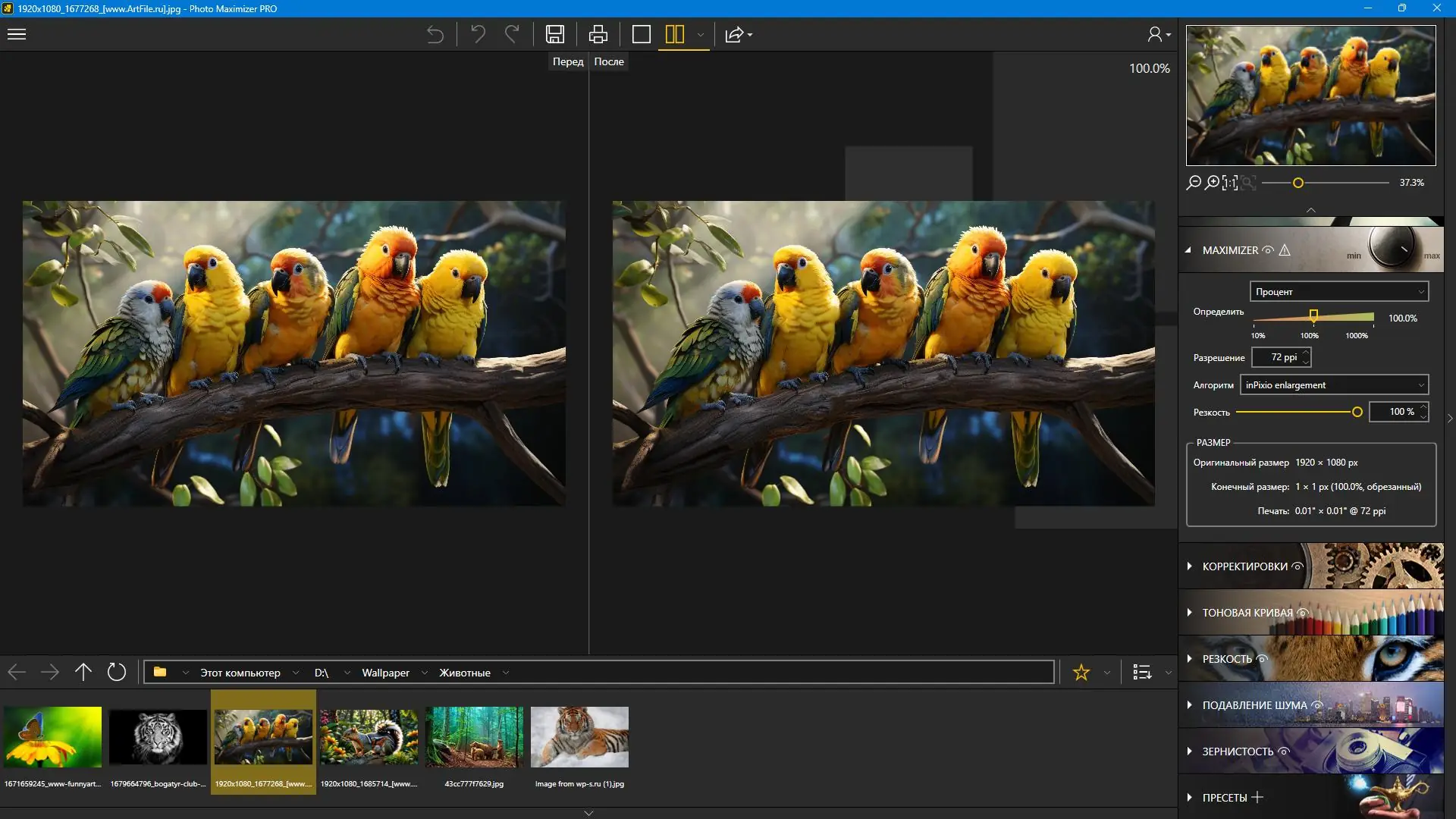 Установка InPixio Photo Maximizer Pro 5.3.8624 RePack (& Portable) by TryRooM [Ru En]