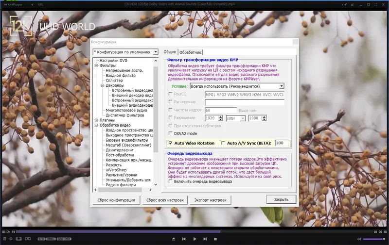 Установка KMPlayer 4.2.2.79 Plus (x86) Portable by 7997 [Multi Ru]