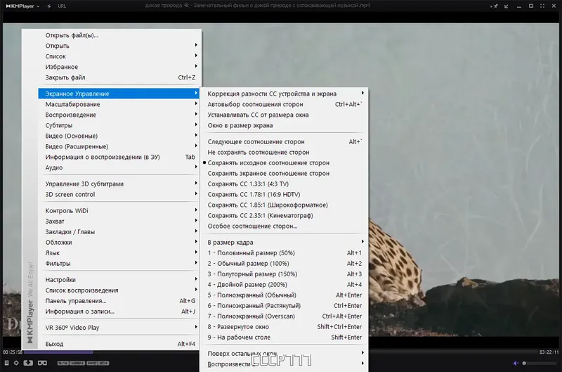 Установка KMPlayer 4.2.3.4 Plus (x86) Portable by 7997 [Multi Ru]
