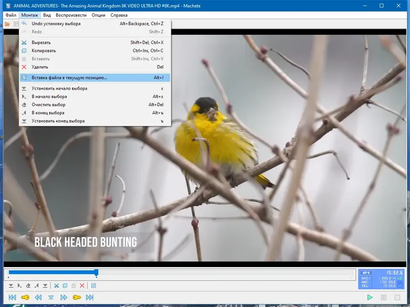 Установка Machete 5.1 Build 44 Repack (& Portable) by elchupacabra [Ru En]
