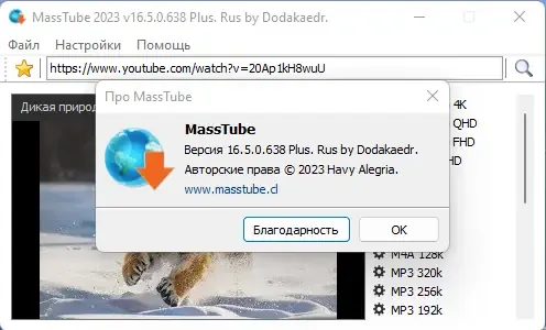 Установка MassTube Plus 16.5.0.638 RePack (& Portable) by Dodakaedr [Ru En]