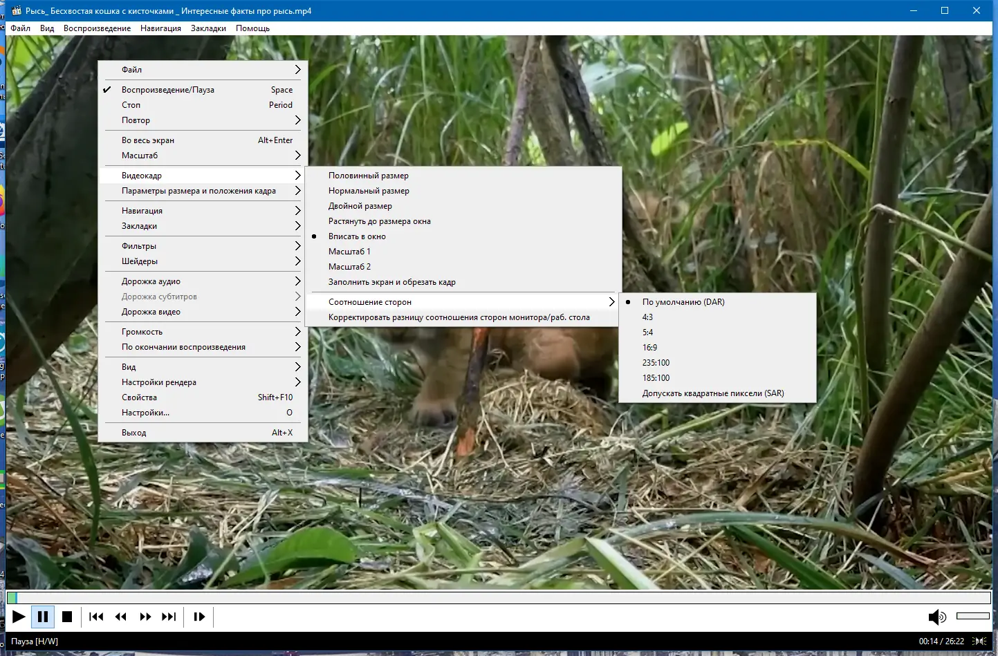 Установка Media Player Classic Home Cinema (MPC-HC) 2.1.4 + Portable (unofficial) [Multi Ru]