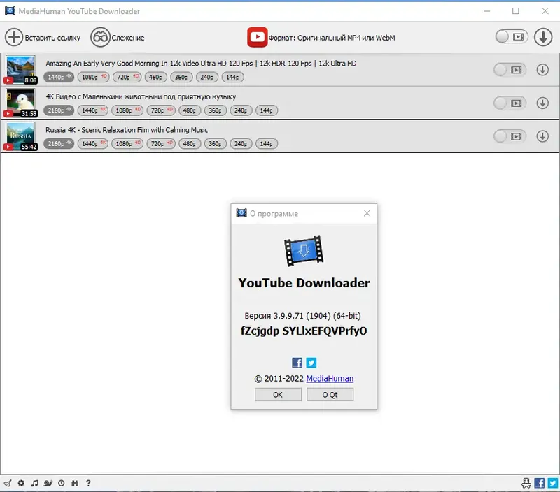 Установка MediaHuman YouTube Downloader 3.9.9.71 (1904) RePack (& Portable) by elchupacabra [Multi Ru]