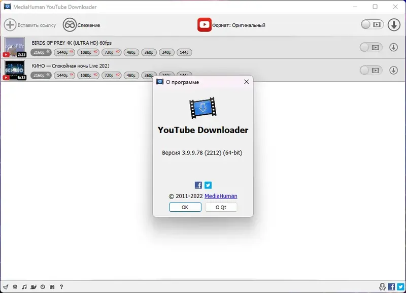Установка MediaHuman YouTube Downloader 3.9.9.78 (2212) RePack (& Portable) by Dodakaedr [Ru En]