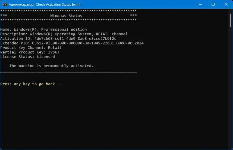 Установка Microsoft Activation Scripts (MAS) 2.5 (01.01.2024) Portable [En]