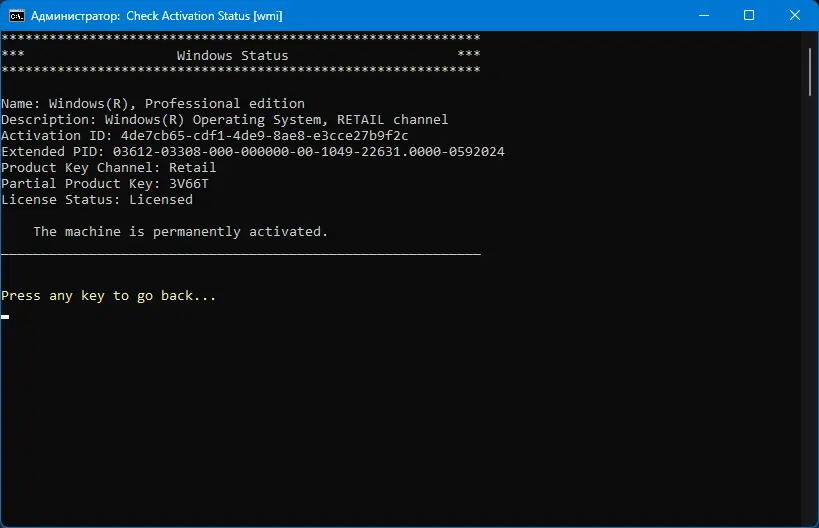 Установка Microsoft Activation Scripts (MAS) 2.5 (28.02.2024) Portable [En]