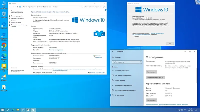 Установка Microsoft® Windows® 10 Pro-Home Optim Plus x64 22H2 RU by OVGorskiy 06.2024
