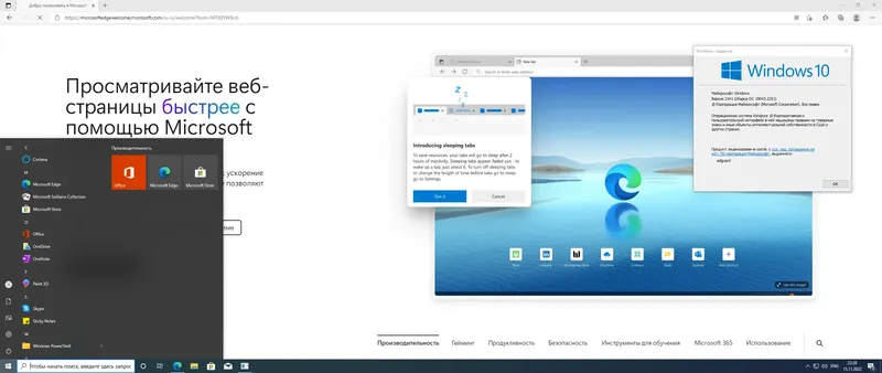Установка Microsoft Windows 10.0.19043.2251, Version 21H1 (Updated November 2022) - Оригинальные образы от Microsoft MSDN [Ru]
