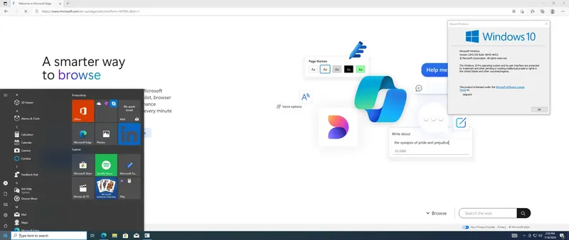 Установка Microsoft Windows 10 [10.0.19045.4651], Version 22H2 (Updated July 2024) - Оригинальные образы от Microsoft MSDN VLSC [En]