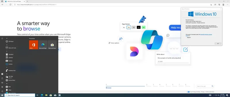Установка Microsoft Windows 10 [10.0.19045.5011], Version 22H2 (Updated October 2024) - Оригинальные образы от Microsoft MSDN [En]