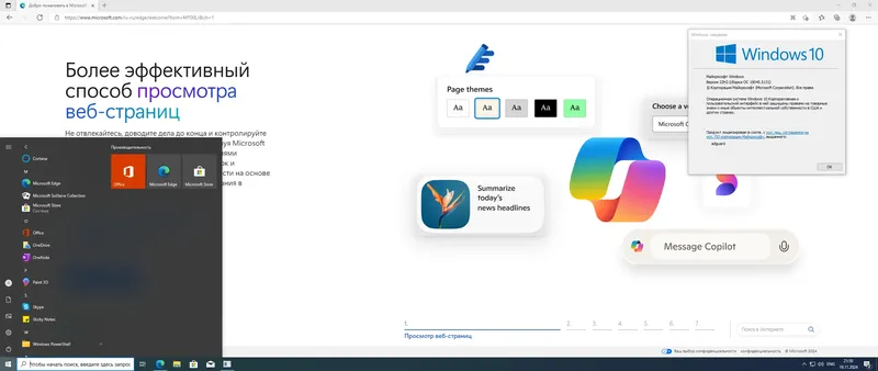 Установка Microsoft Windows 10 [10.0.19045.5131], Version 22H2 (Updated November 2024) - Оригинальные образы от Microsoft MSDN [Ru]