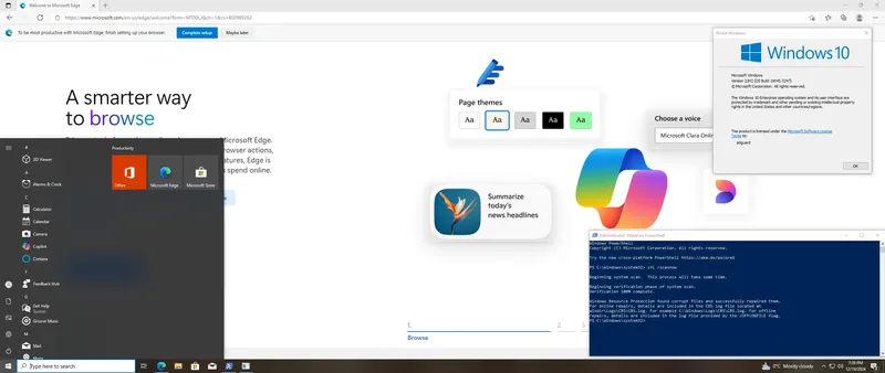 Установка Microsoft Windows 10 [10.0.19045.5247], Version 22H2 (Updated December 2024) - Оригинальные образы от Microsoft VLSC [En]