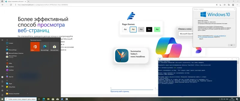 Установка Microsoft Windows 10 [10.0.19045.5247], Version 22H2 (Updated December 2024) - Оригинальные образы от Microsoft VLSC [Ru]