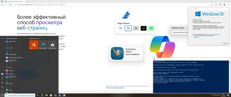 Установка Microsoft Windows 10 [10.0.19045.5608], Version 22H2 (Updated March 2025) - Оригинальные образы от Microsoft MSDN [Ru]