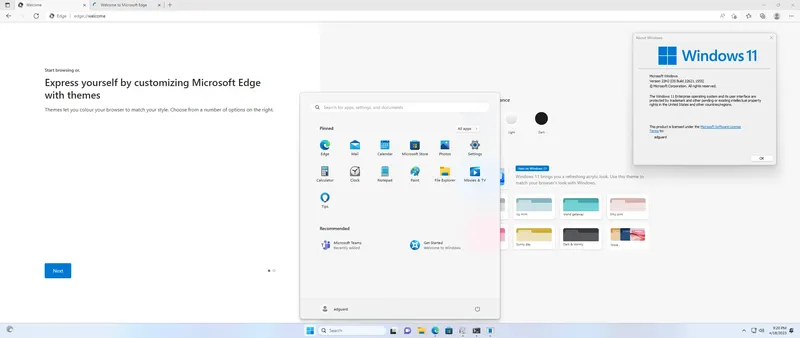 Установка Microsoft Windows 11 [10.0.22621.1555], Version 22H2 (Updated April 2023) - Оригинальные образы от Microsoft MSDN [En]