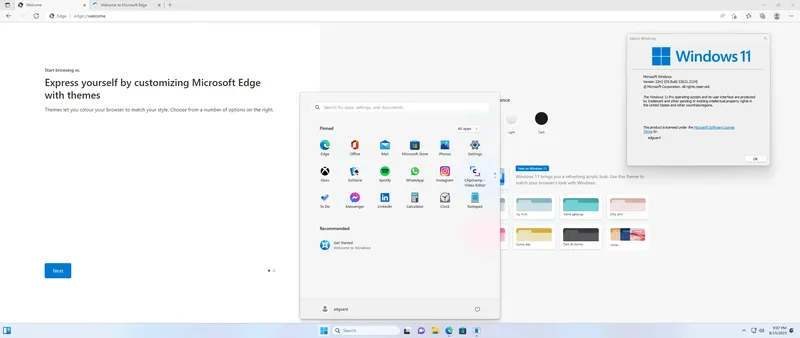 Установка Microsoft Windows 11 [10.0.22621.2134], Version 22H2 (Updated August 2023) - Оригинальные образы от Microsoft MSDN [En]
