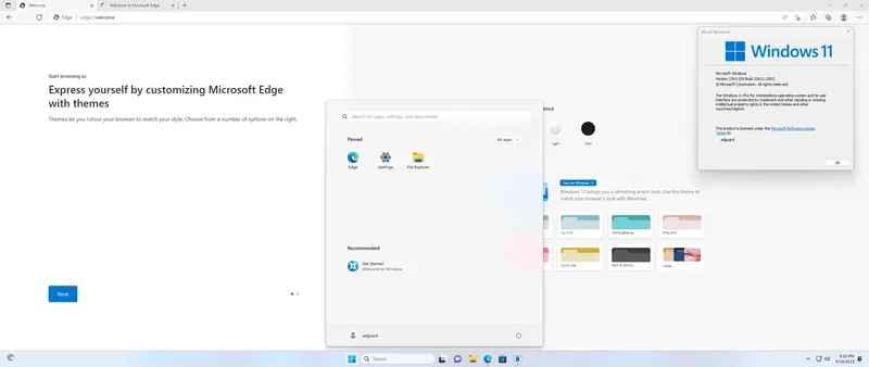 Установка Microsoft Windows 11 [10.0.22621.2283], Version 22H2 (Updated September 2023) - Оригинальные образы от Microsoft MSDN [En]