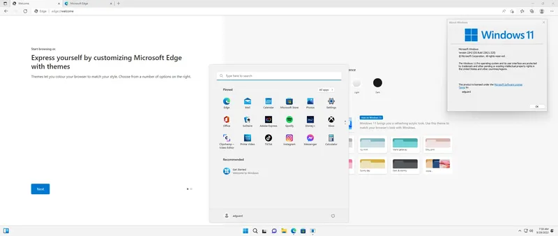 Установка Microsoft Windows 11 [10.0.22621.525], Version 22H2 (Updated September 2022) - Оригинальные образы от Microsoft MSDN [En]