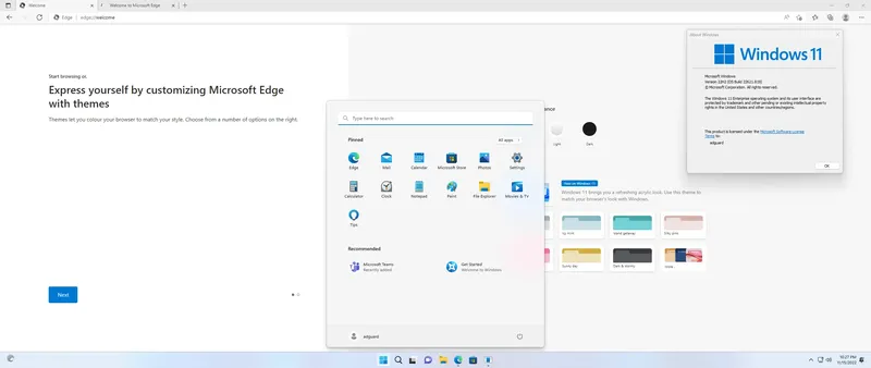 Установка Microsoft Windows 11 [10.0.22621.819], Version 22H2 (Updated November 2022) - Оригинальные образы от Microsoft MSDN [En]