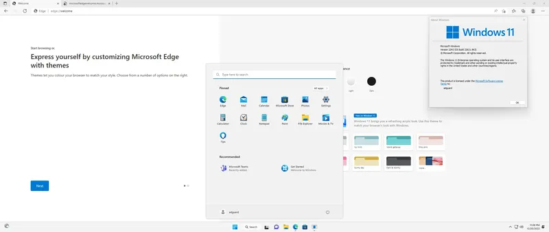 Установка Microsoft Windows 11 [10.0.22621.963], Version 22H2 (Updated December 2022) - Оригинальные образы от Microsoft MSDN [En]