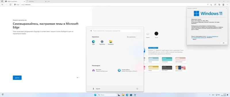 Установка Microsoft Windows 11 [10.0.22631.2861], Version 23H2 (Updated December 2023) - Оригинальные образы от Microsoft MSDN [Ru]
