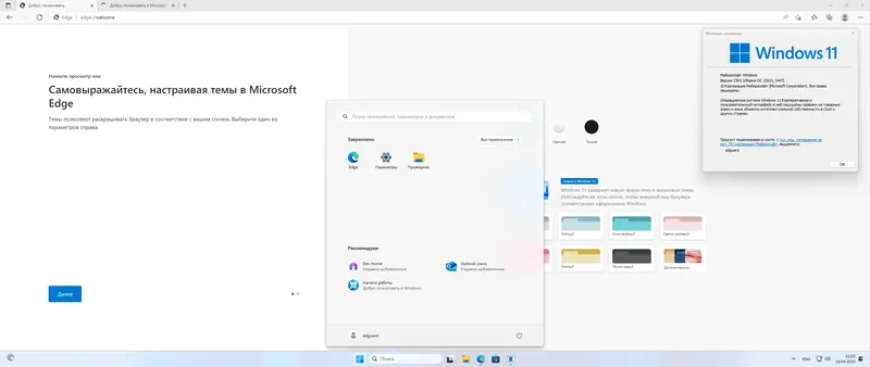 Установка Microsoft Windows 11 [10.0.22631.3447], Version 23H2 (Updated April 2024) - Оригинальные образы от Microsoft MSDN [Ru]