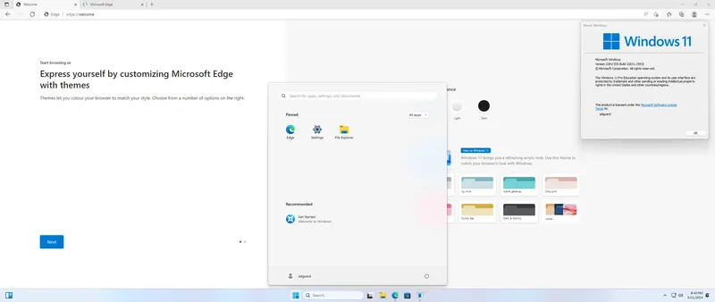 Установка Microsoft Windows 11 [10.0.22631.3593], Version 23H2 (Updated May 2024) - Оригинальные образы от Microsoft MSDN VLSC [En]