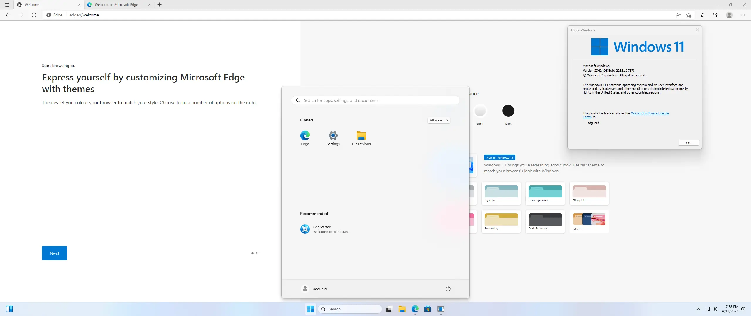 Установка Microsoft Windows 11 [10.0.22631.3737], Version 23H2 (Updated June 2024) - Оригинальные образы от Microsoft MSDN VLSC [En]