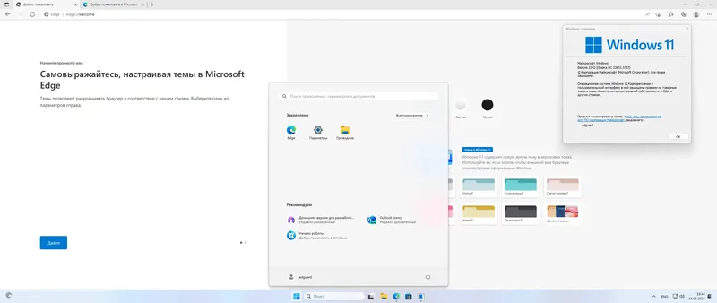 Установка Microsoft Windows 11 [10.0.22631.3737], Version 23H2 (Updated June 2024) - Оригинальные образы от Microsoft MSDN VLSC [Ru]