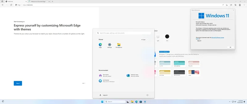 Установка Microsoft Windows 11 [10.0.22631.4037], Version 23H2 (Updated August 2024) - Оригинальные образы от Microsoft MSDN [En]