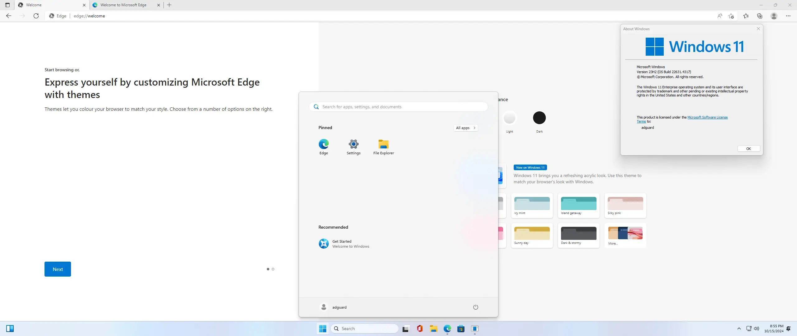 Установка Microsoft Windows 11 [10.0.22631.4317], Version 23H2 (Updated October 2024) - Оригинальные образы от Microsoft MSDN [En]