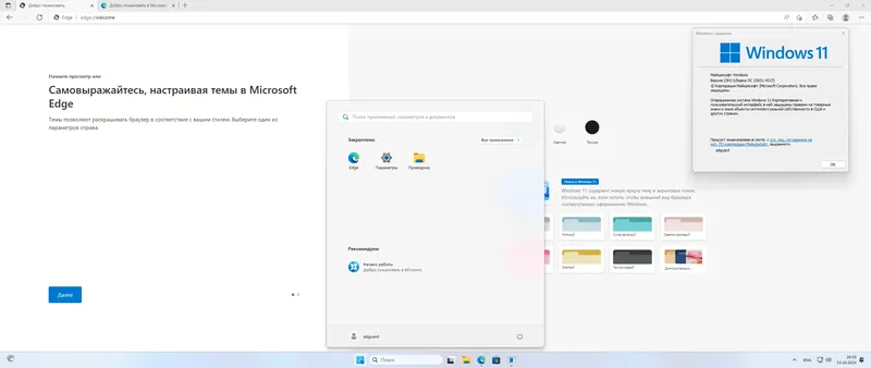 Установка Microsoft Windows 11 [10.0.22631.4317], Version 23H2 (Updated October 2024) - Оригинальные образы от Microsoft MSDN [Ru]