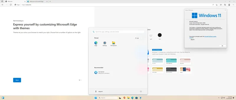Установка Microsoft Windows 11 [10.0.22631.4460], Version 23H2 (Updated November 2024) - Оригинальные образы от Microsoft MSDN [En]