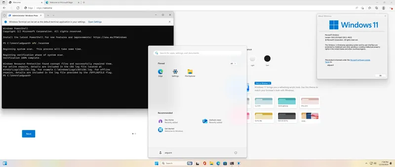 Установка Microsoft Windows 11 [10.0.22631.4602], Version 23H2 (Updated December 2024) - Оригинальные образы от Microsoft VLSC [En]
