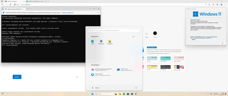 Установка Microsoft Windows 11 [10.0.22631.4602], Version 23H2 (Updated December 2024) - Оригинальные образы от Microsoft VLSC [Ru]