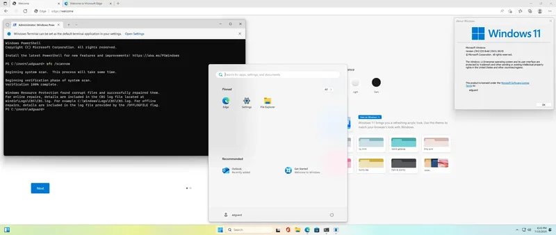 Установка Microsoft Windows 11 [10.0.22631.5624], Version 23H2 (Updated July 2025) - Оригинальные образы от Microsoft MSDN [En]