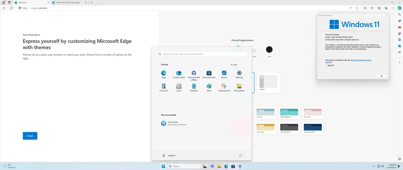 Установка Microsoft Windows 11 [10.0.26100.2314], Version 24H2 (Updated November 2024) - Оригинальные образы от Microsoft MSDN [En]