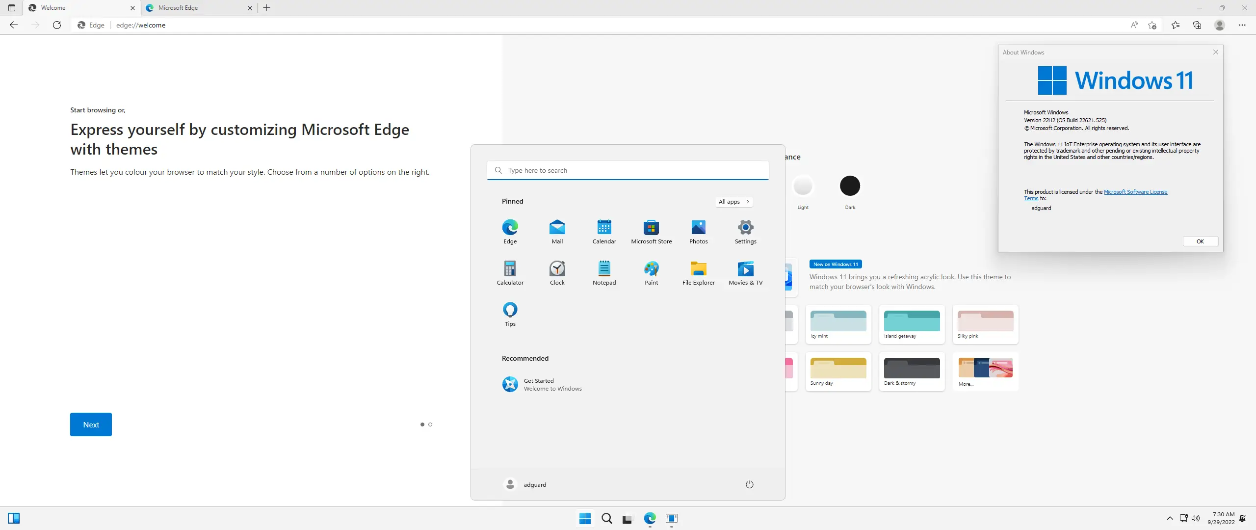 Установка Microsoft Windows 11 IoT Enterprise [10.0.22621.525], Version 22H2 (Updated September 2022) - Оригинальные образы от Microsoft MSDN [En]