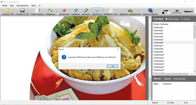 Установка PDF Eraser Pro 1.9.8.2 Portable by Spirit Summer [Multi Ru]