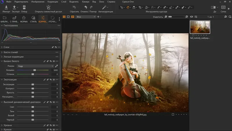 Установка Phase One Capture One 23 Enterprise 16.0.1.20 [Multi Ru]