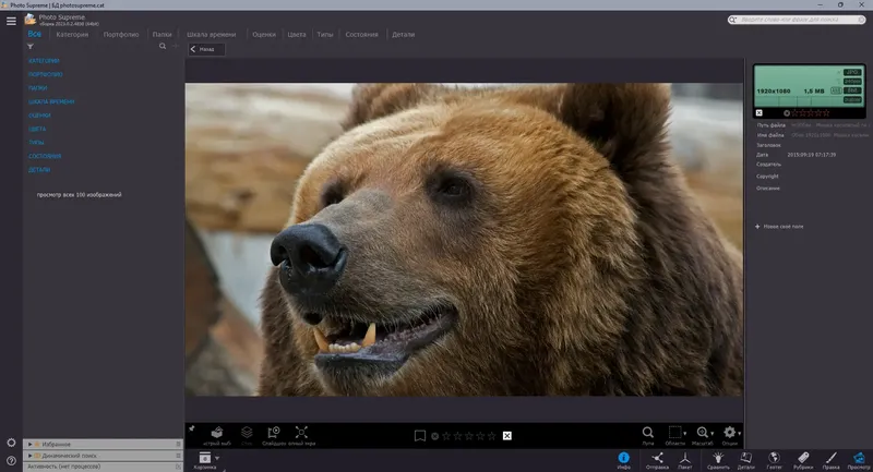 Установка Photo Supreme 2023.0.2.4838 RePack (& Portable) by elchupacabra [Multi Ru]