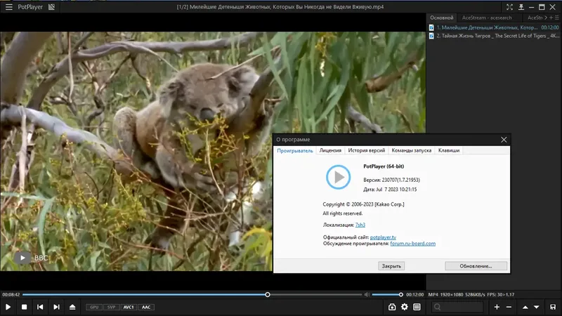 Установка PotPlayer 230707 (1.7.21953) RePack (& portable) by elchupacabra [Multi Ru]